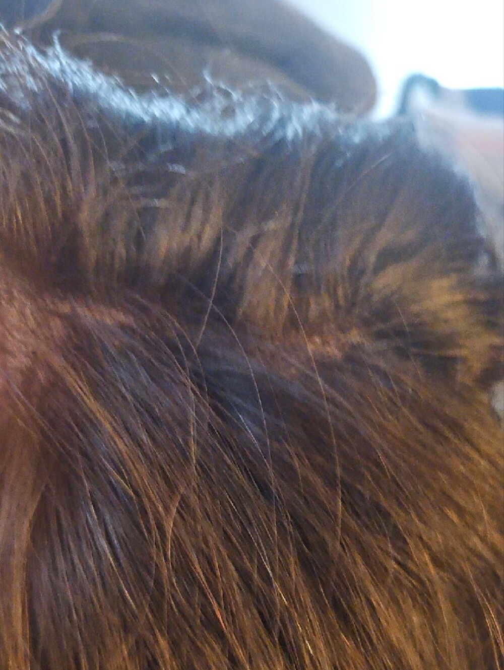 Bundle Of 3 Wigs, All Med- Dark Brown. - Picture 5 of 14